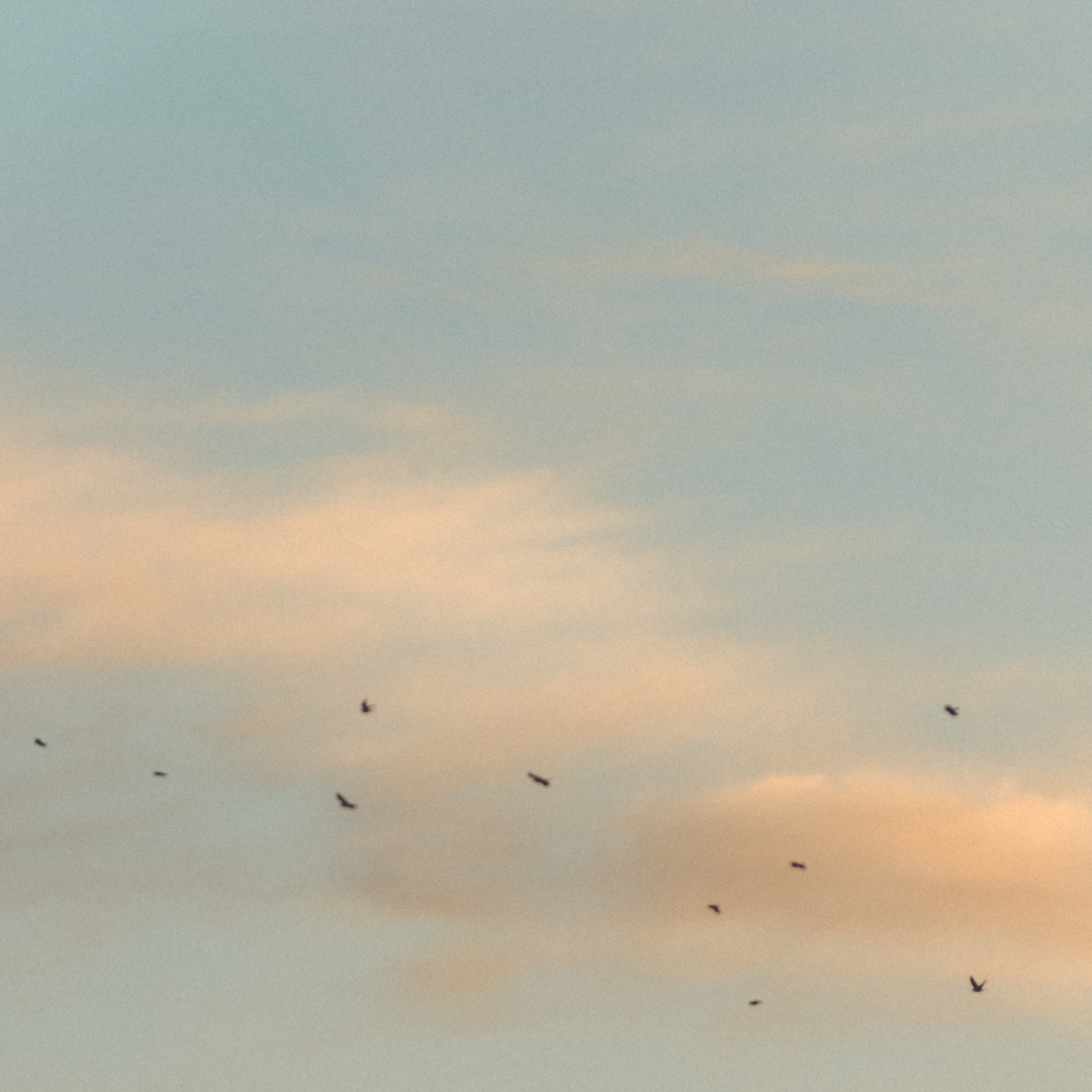 Aromoterapia - Elemento Fogo